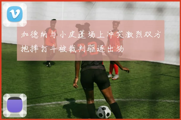 加德纳与小皮蓬场上冲突激烈双方抱摔打斗被裁判驱逐出场