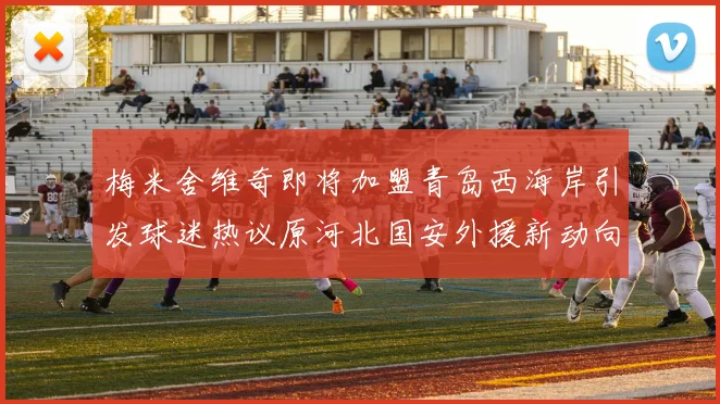 梅米舍维奇即将加盟青岛西海岸引发球迷热议原河北国安外援新动向